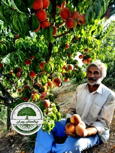 تصویر فروشگاه نهالستان ماراویا و پیران