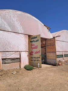 تصویر فروشگاه گل و گیاهان امیر علی