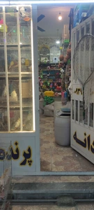 تصویر فروشگاه وینگ پت شاپ