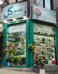 تصویر فروشگاه گل عمو گل