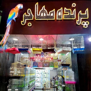 تصویر فروشگاه پرنده مهاجر