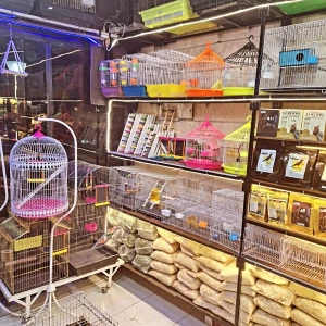 تصویر فروشگاه ملزومات پرنده وپت درنا