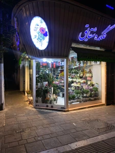 تصویر فروشگاه گلکده شقایق
