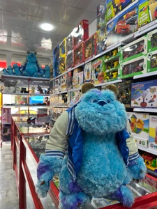 تصویر فروشگاه پیشی توی