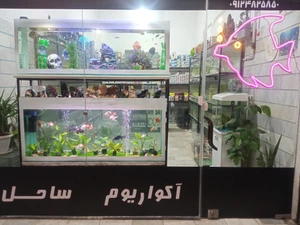 تصویر فروشگاه آکواریوم ساحل