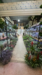 تصویر فروشگاه تراریوم مسترگل