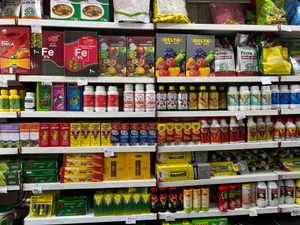 تصویر فروشگاه استاد حشرات