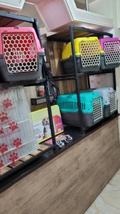 تصویر فروشگاه کلینیک پت روز