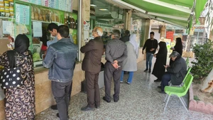 تصویر فروشگاه فلفلی ناب