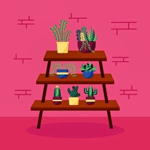 تصویر فروشگاه آقای چوب